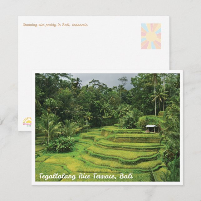 Bali Rice Terraces Scenic Travel Postcard (Front/Back)