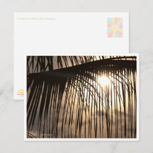 Bali Sunset Palm Leaf – Travel Postcard