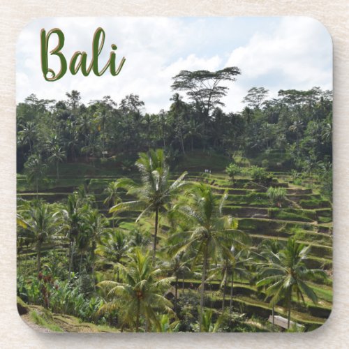 Bali Ubud Terraced Rice Fields Beverage Coaster