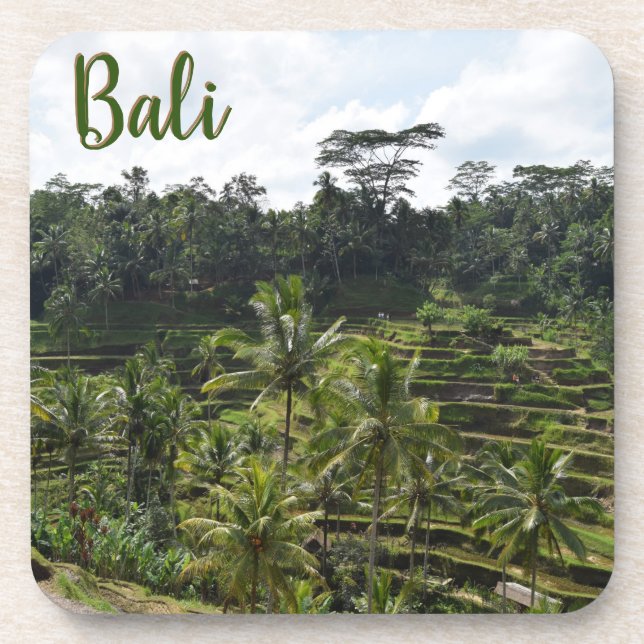 Bali Ubud Terraced Rice Fields Beverage Coaster (Front)