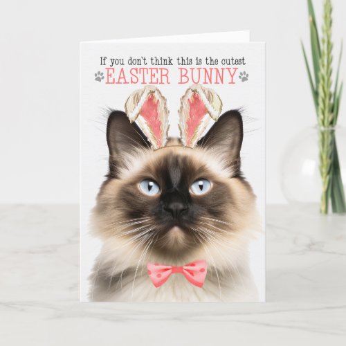 Balinese Cat in Bunny Ears for Easter Holiday Card