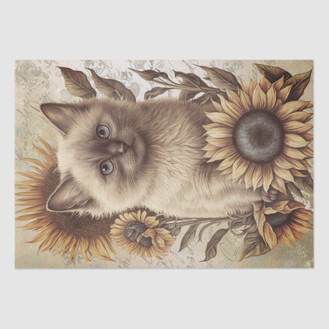 Balinese Kitten Sunflower Cat Tissue Paper (Front)