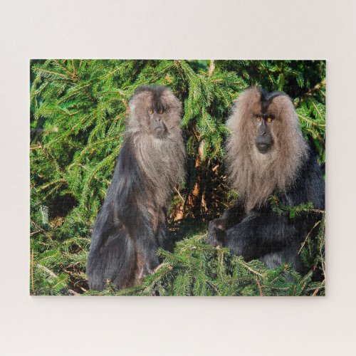 Balinese long tailed Macaques Jigsaw Puzzle