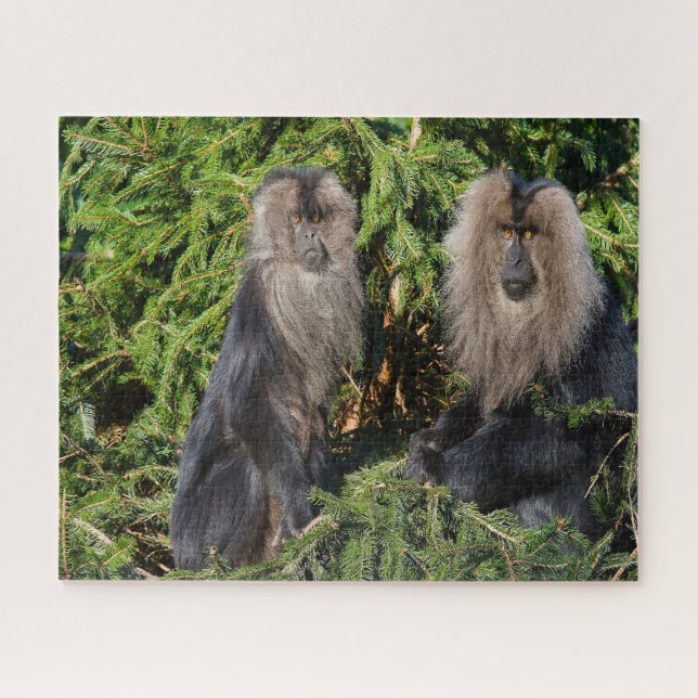 Balinese long tailed Macaques. Jigsaw Puzzle (Horizontal)