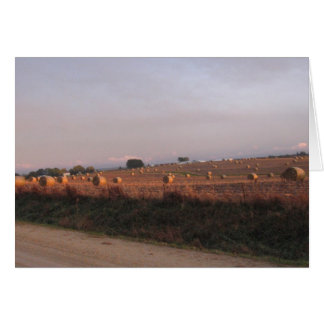 Baling Corn stalks Cards