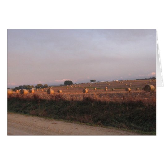 Baling Corn stalks Cards (Front Horizontal)