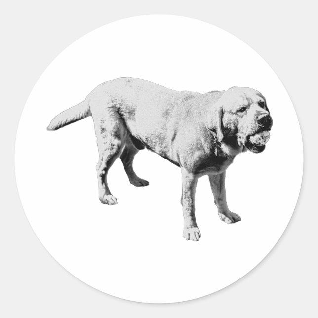 Ball Hog Classic Round Sticker (Front)