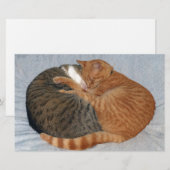 Ball of Cuteness (Front/Back)
