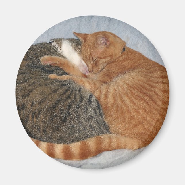 Ball of Cuteness Magnet (Front)