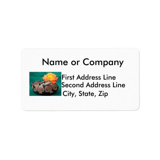 Ball python picture with orange rose green back label (Front)