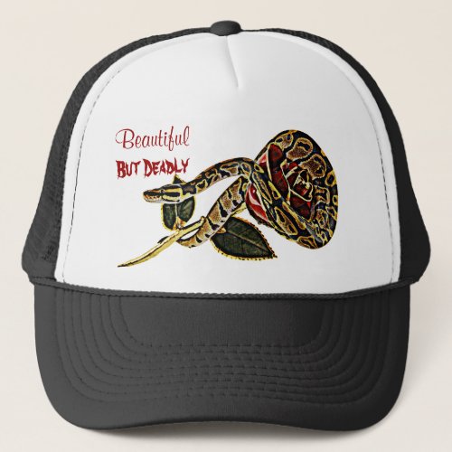 Ball Python Snake Hat Dangerous Beauty