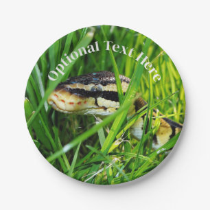 Ball Python Snake in the Grass Paper Plates