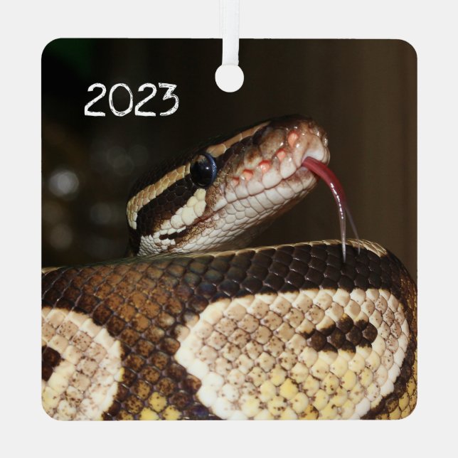 Ball Python Snake Metal Ornament (Back)