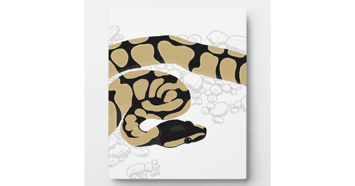 Ball Python Snake Plaque | Zazzle