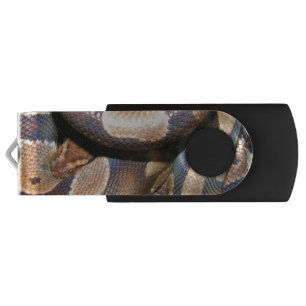 Ball Pythons 2 USB Flash Drive