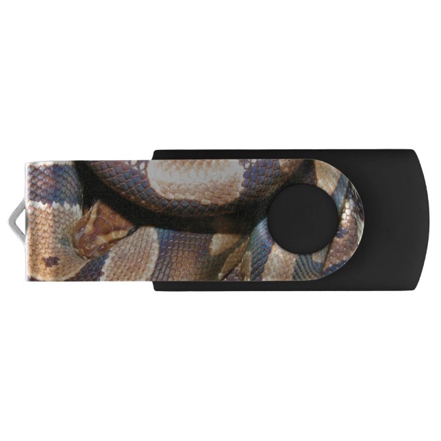Ball Pythons 2 USB Flash Drive (Back)