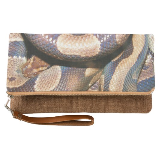 Ball Pythons Clutch (Front)