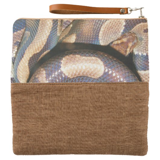 Ball Pythons Clutch (Outside Open)