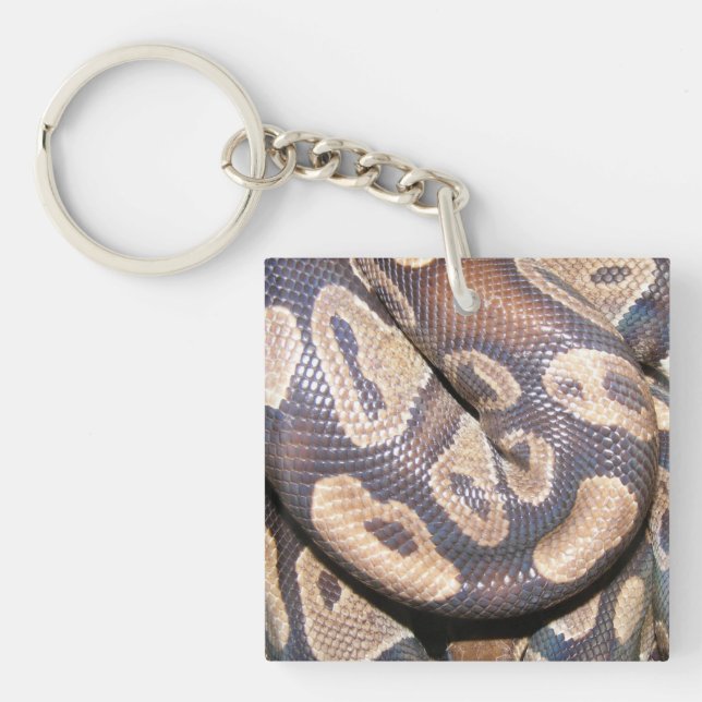Ball Pythons Keychain (Front)