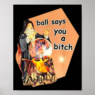 Ball Says You A Btch Meme  Poster
