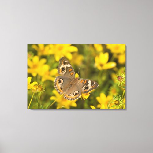 Ballard Nature Center Canvas Print