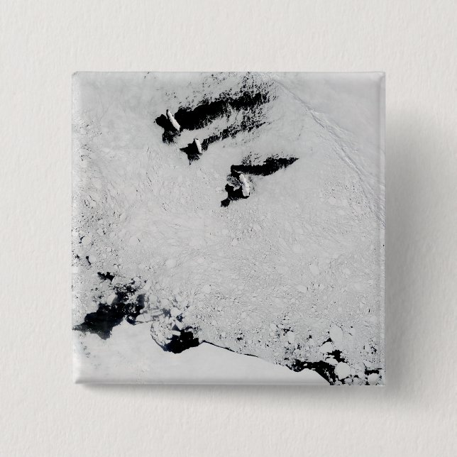 Balleny Islands, near Antarctica Pinback Button (Front)