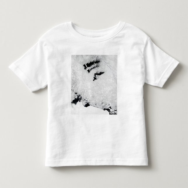 Balleny Islands, near Antarctica Toddler T-shirt (Front)