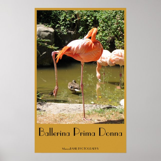 Ballerina Prima Donna Poster! Poster (Front)