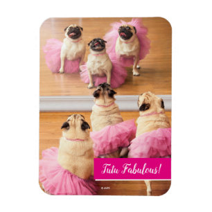 Ballerina Pugs In Tutus Magnet