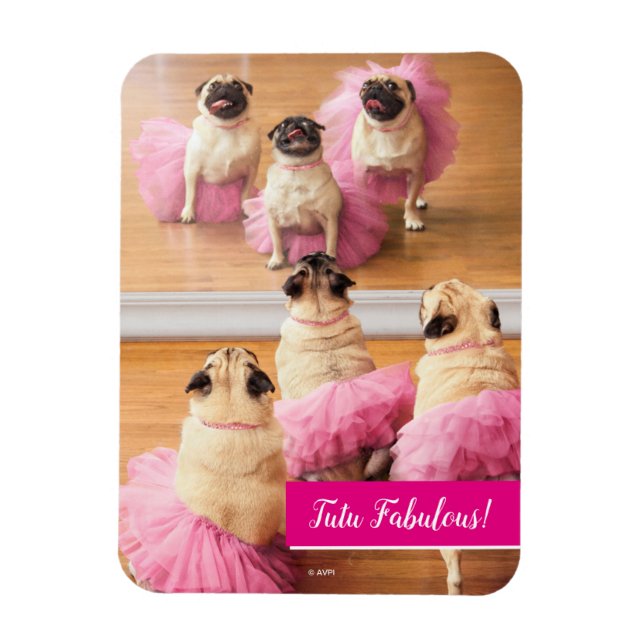 Ballerina Pugs In Tutus Magnet (Vertical)