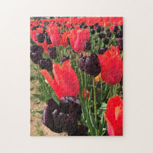 Ballerina & Queen of the Night Tulips Jigsaw Puzzle