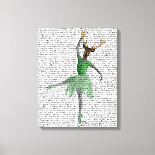 Ballet Deer in Green Canvas Print (Front)