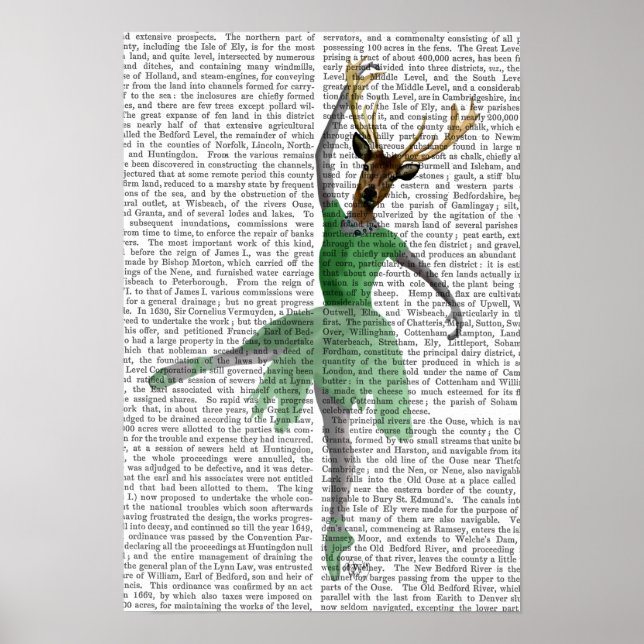 Ballet Deer in Green Poster (Front)