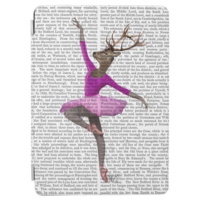 Ballet Deer in Pink iPad Air Cover (Front)