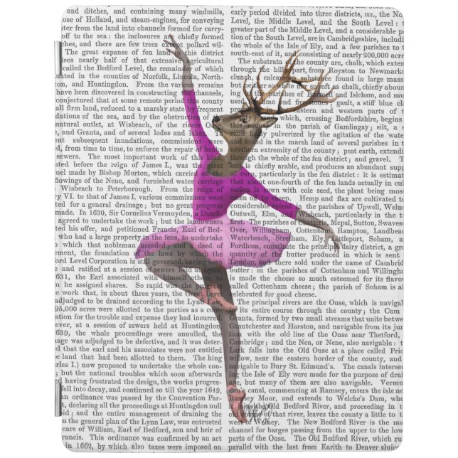 Ballet Deer in Pink iPad Air Cover (Front)
