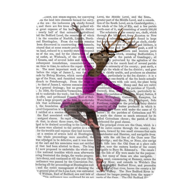 Ballet Deer in Pink Magnet (Vertical)