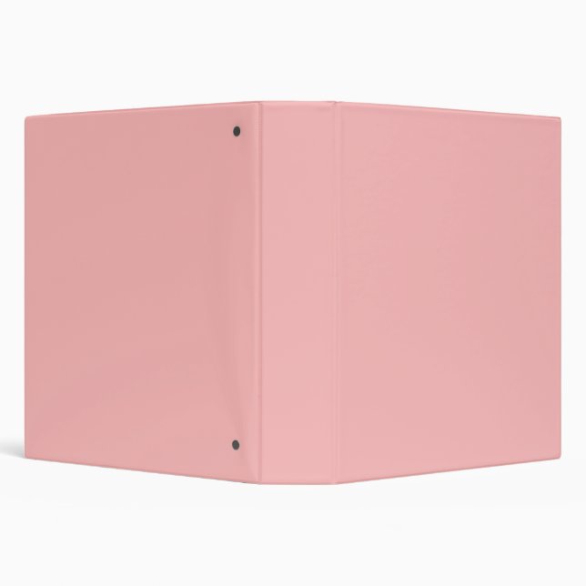 Ballet Light Pink Personalized Peach Background Binder (Background)