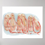 ballet Slippers all in a row Poster