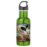 Ballet Swan Stainless Steel Water Bottle