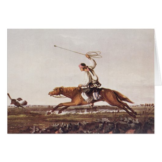 Balling Ostriches Cards (Front Horizontal)