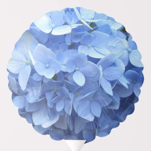 Balloon _ Blue Hydrangeas