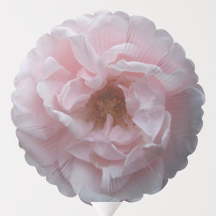 Balloon - Blush Pink Rose