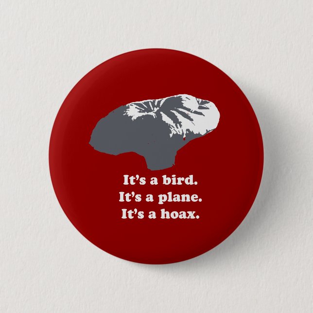 Balloon boy - It's a bird. It's a plane. It's a Ho Pinback Button (Front)