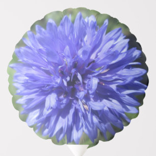 Balloon - Cornflower Blue Bachelor's Button