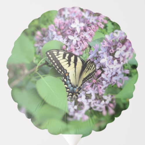 Balloon _ ET Swallowtail on Lilac