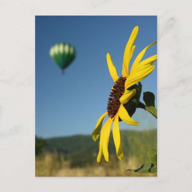 Balloon Festival Postcard (Front)