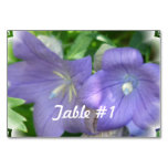 Balloon Flower Blossom Table Number