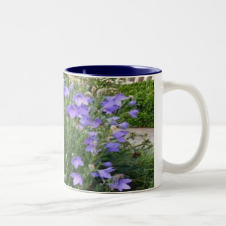 Balloon Flowers Two-Tone Coffee Mug