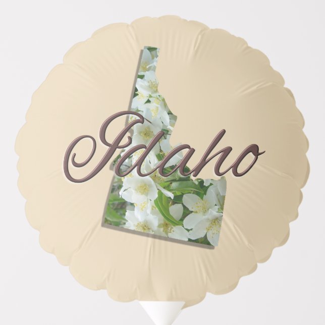 Balloon - IDAHO (Front)