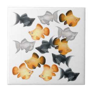 Balloon Mollies Livebearer Fish Tile